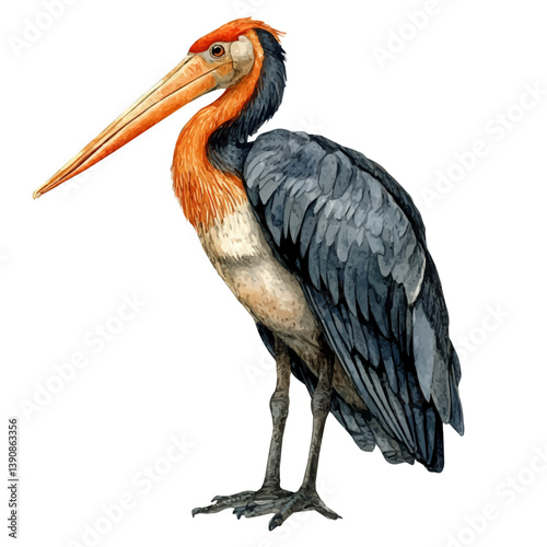 A watercolor painting of Greater adjutant, isolated on a white background. Greater adjutant vector

