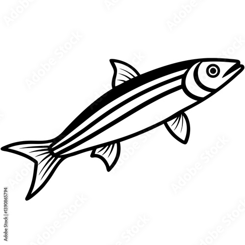 Minimal Anchovy Vector Illustration on White Background