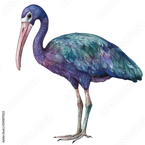 A watercolor painting of Giant ibis, isolated on a white background. Giant ibis vector

