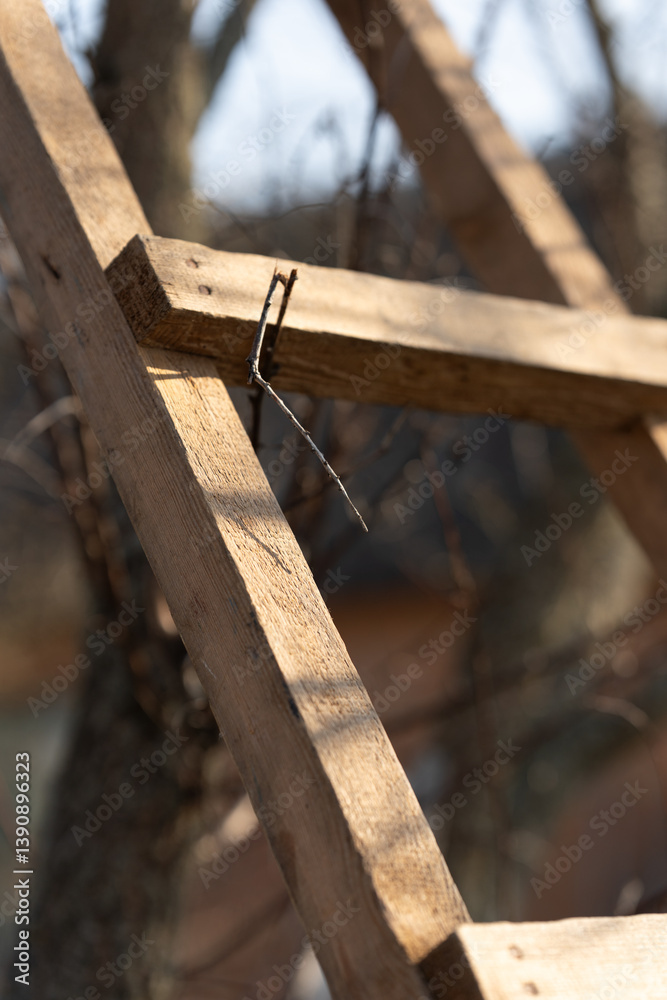 Fragment of wooden ladder stands leaning against a fruit tree in early spring sunny day. Cutting tree branches in countryside Fragment of wooden ladder stands leaning against a fruit tree in early spring sunny day. Cutting tree branches in countryside