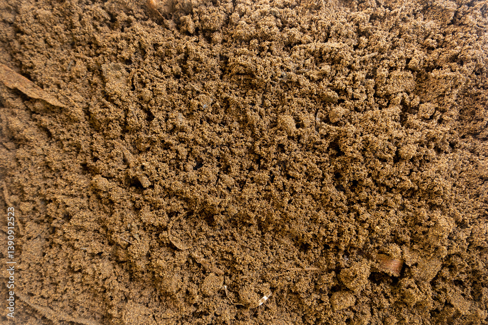 texture of the ground texture of the ground