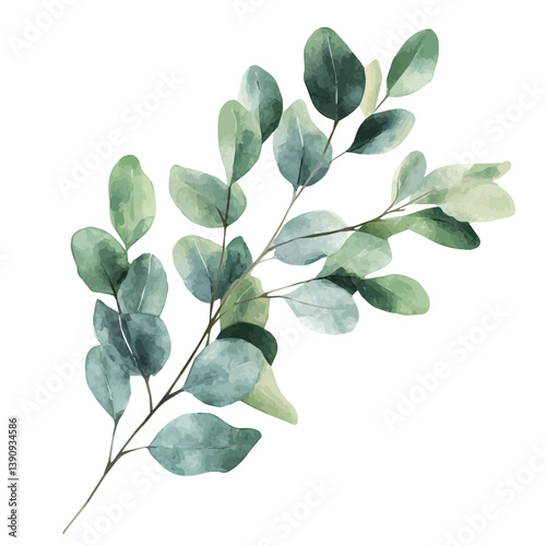 A watercolor painting of Eucalyptus branch, isolated on a white background. Eucalyptus branch vector

