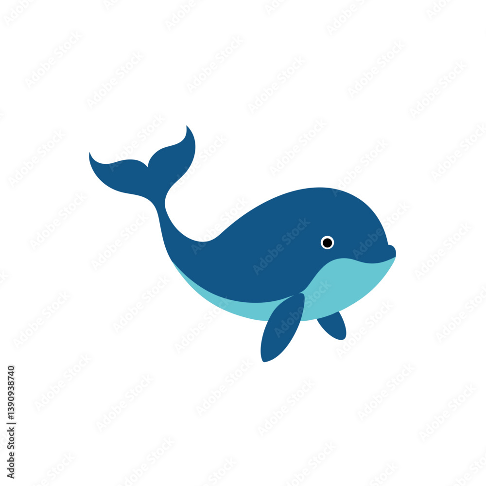 dolphin in the water dolphin in the water
