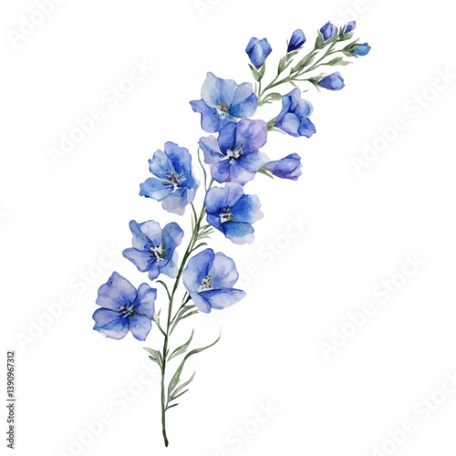 A watercolor painting of Delphinium branch, isolated on a white background. Delphinium branch vector

