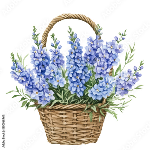 A watercolor painting of Delphinium bouquet in a basket, isolated on a white background. Delphinium bouquet in a basket vector

