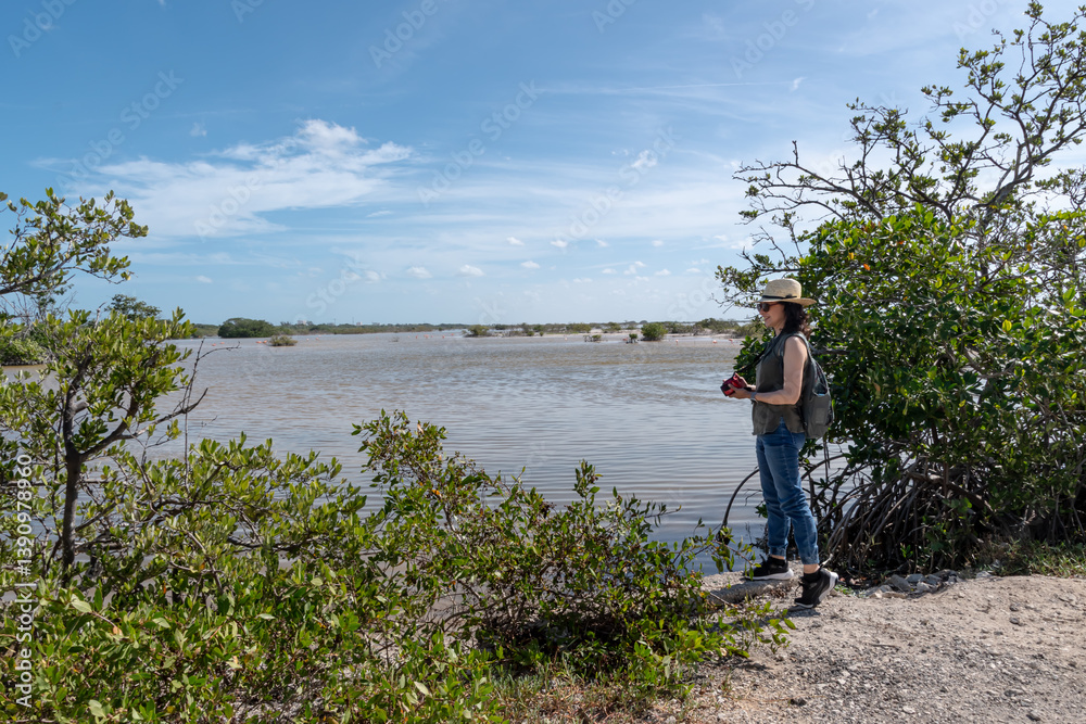 Woman enjoys the view and takes pictures of the scenery in a wetland Woman enjoys the view and takes pictures of the scenery in a wetland