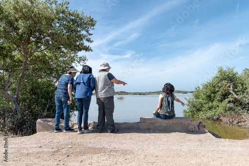 Four women watch birds on the edge of a wetland. Ecotourism. Yucatán, Mexico.