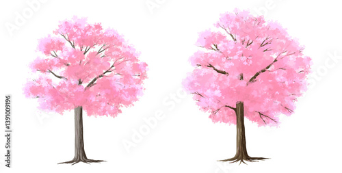 pink cherry tree, Vertor set of spring cherry blossom tree,blooming plants side view  for landscape elevation and section,eco environment concept design,watercolor shrub illustration,Sakura 