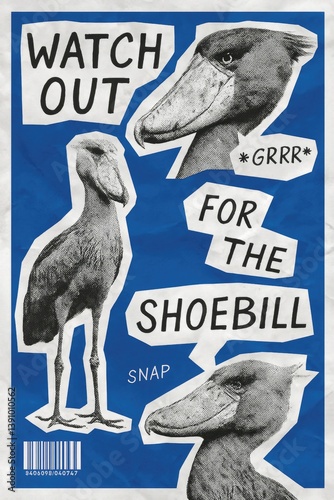 Comic-Style shoebill poster Collage with Blue Background, Bold Typography, and Paper Cutout Illustration
