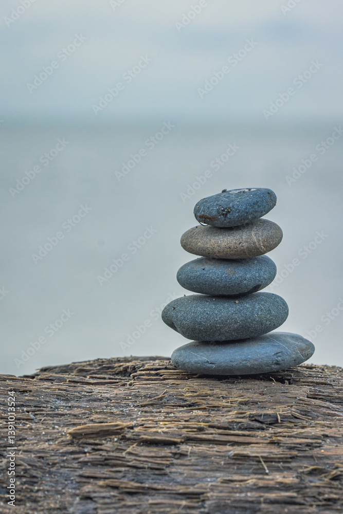 Fototapeta premium 8K5A5206.CR3