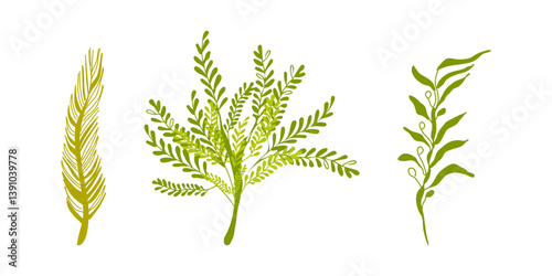 Sea Plants Underwater ocean Marine flora Set. Design for banner poster template invitation card. Vector illustration.