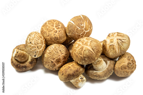 Obraz na płótnie Raw shitake mushroom isolated on white background. w salonie