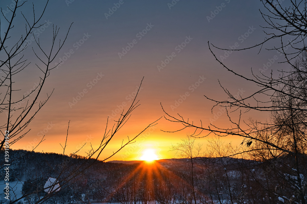 Obraz premium sunset in the forest