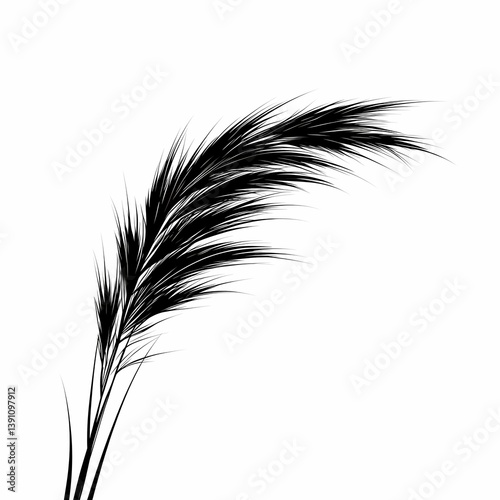 Elegant Black and White Botanical Illustration of Isolated Pampas Grass - Minimalist and Vintage Fine Art Decor for Nature-Inspired Gardening and Landscaping