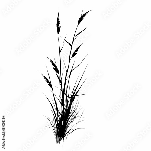 Black and White Botanical Silhouette. Artistic Abstract of Wild Grass and Flora in Nature