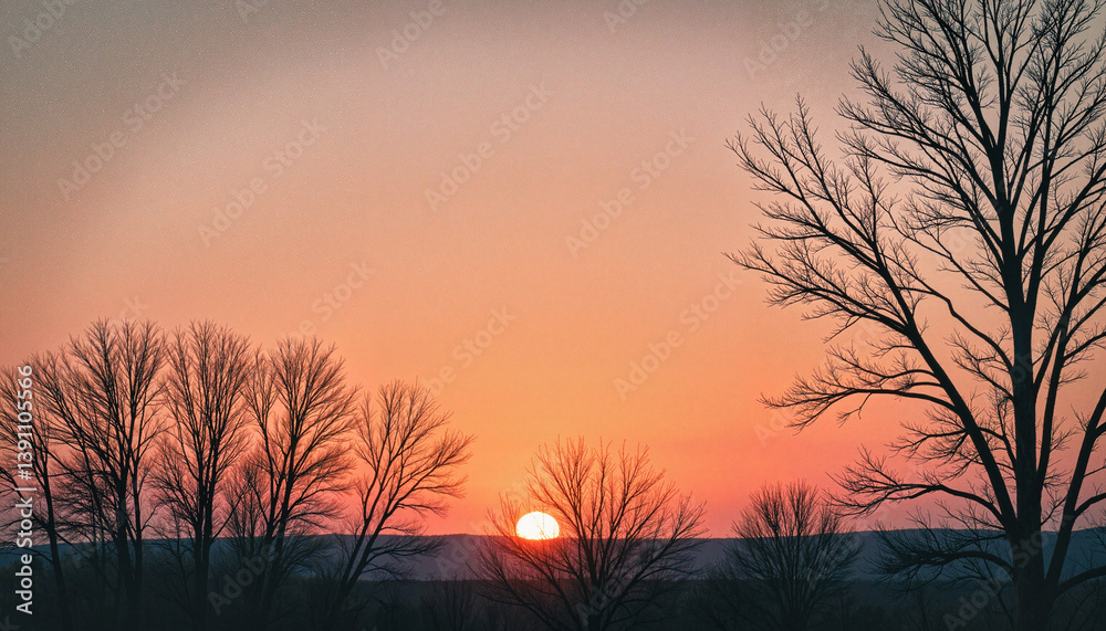 Sunset over silhouette trees against a pink sky
Sunset over silhouette trees against a pink sky