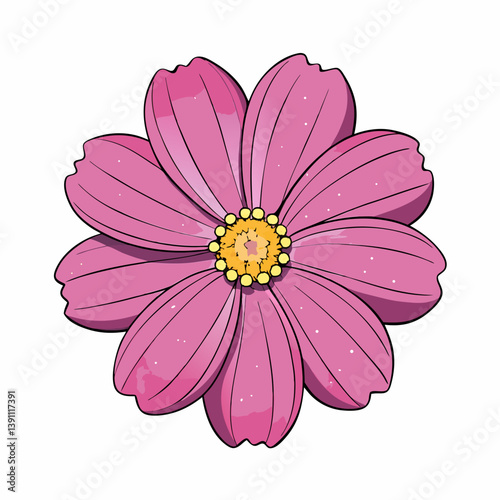 pink cosmos flower