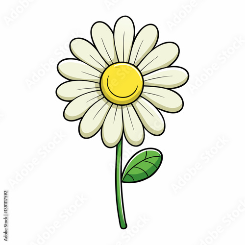 camomile on a white background