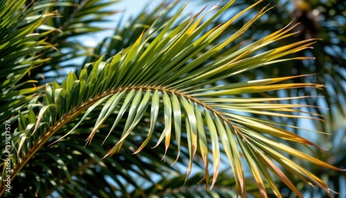 Palm Fronds in Motion Design an abstract image capturing the dynamic movement of palm fronds swaying in the wind.