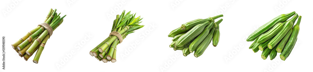 Harvesting fresh greens asparagus bundles in natural setting. Cut out set Harvesting fresh greens asparagus bundles in natural setting. Cut out set
