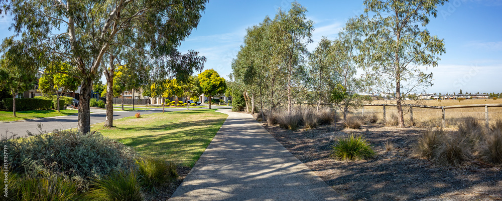 Fototapeta premium A footpath or sidewalk in a suburban neighborhood with large outdoor space and spacious nature strip. A shade walkway lined with trees and houses in Williams Landing, Melbourne, Australia.
