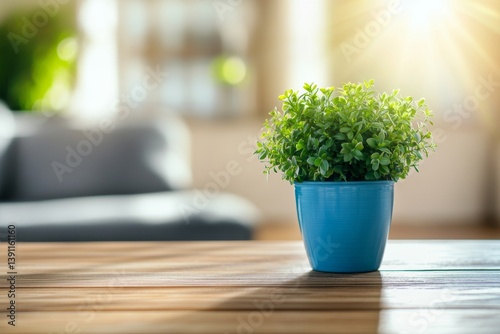Small potted plant on a wooden table in a living room (1) photo