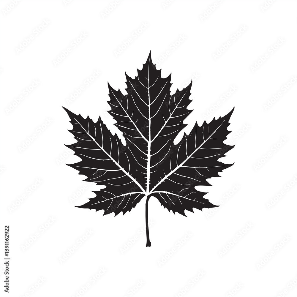Black Leaf Silhouette on White Background Black Leaf Silhouette on White Background