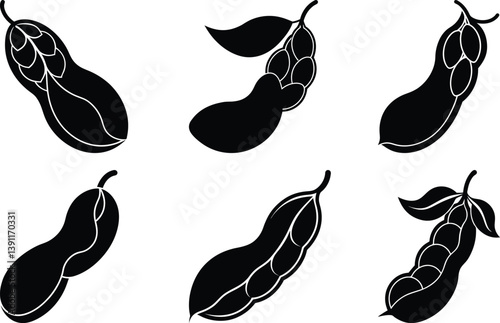 Lima Bean silhouette vector