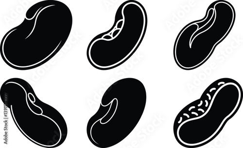 Kidney Bean silhouette vector