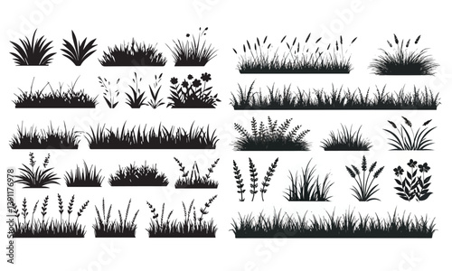 grass vector