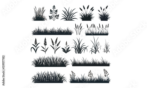 grass vector