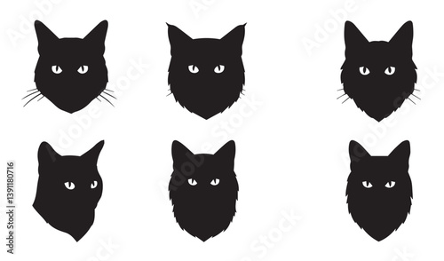 Fun and Charming Cat Faces Full of Unique Personalities

