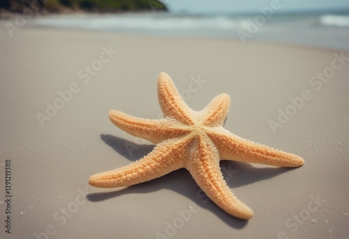 beach starfish background summer sand tropical concept wave idylli sea nautilus resort texture coastline shell under marin design travel nature romantic blue vacation water star seacoast ocean