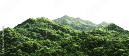 Fototapeta Naklejka Na Ścianę i Meble -  Lush Mountain Range (3)