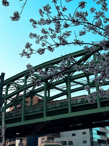 railway bridge in the Japan city