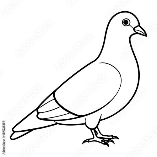 Rock Pigeon