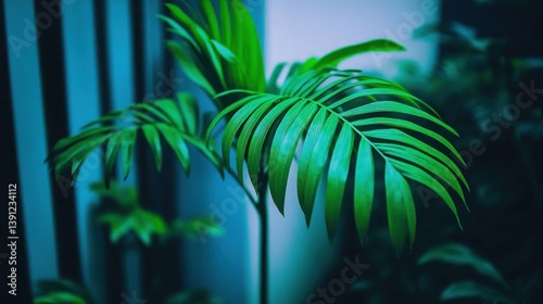 Close-up of vibrant green palm leaves against a cool-toned background photo