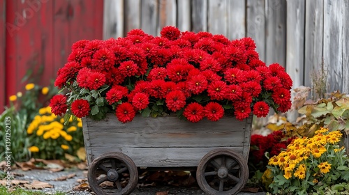 Autumn flowers in wooden cart photo