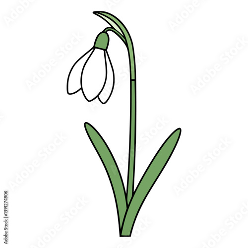 snowdrop flower plant nature flora flat color vector illustration template design