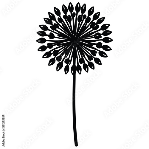 Purple Allium Bloom in Full Detail – Botanical Illustration

