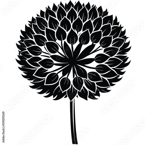 Purple Allium Bloom in Full Detail – Botanical Illustration

