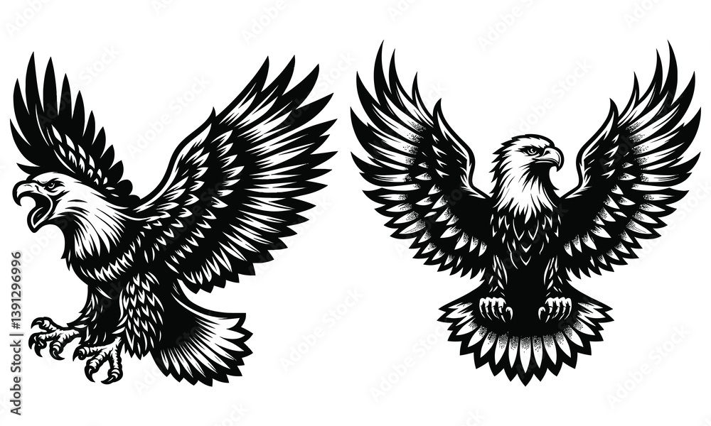 Obraz premium eagle with wings