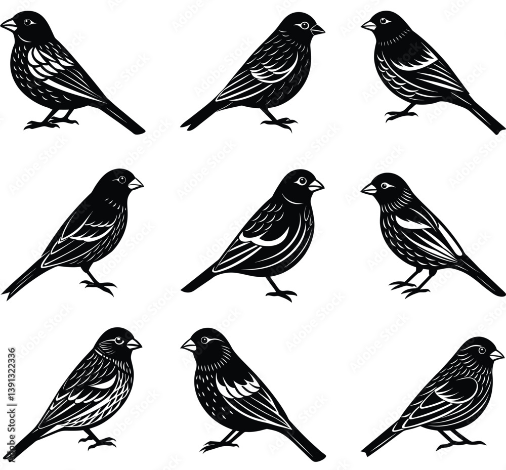 Fototapeta premium purple finch vector icon