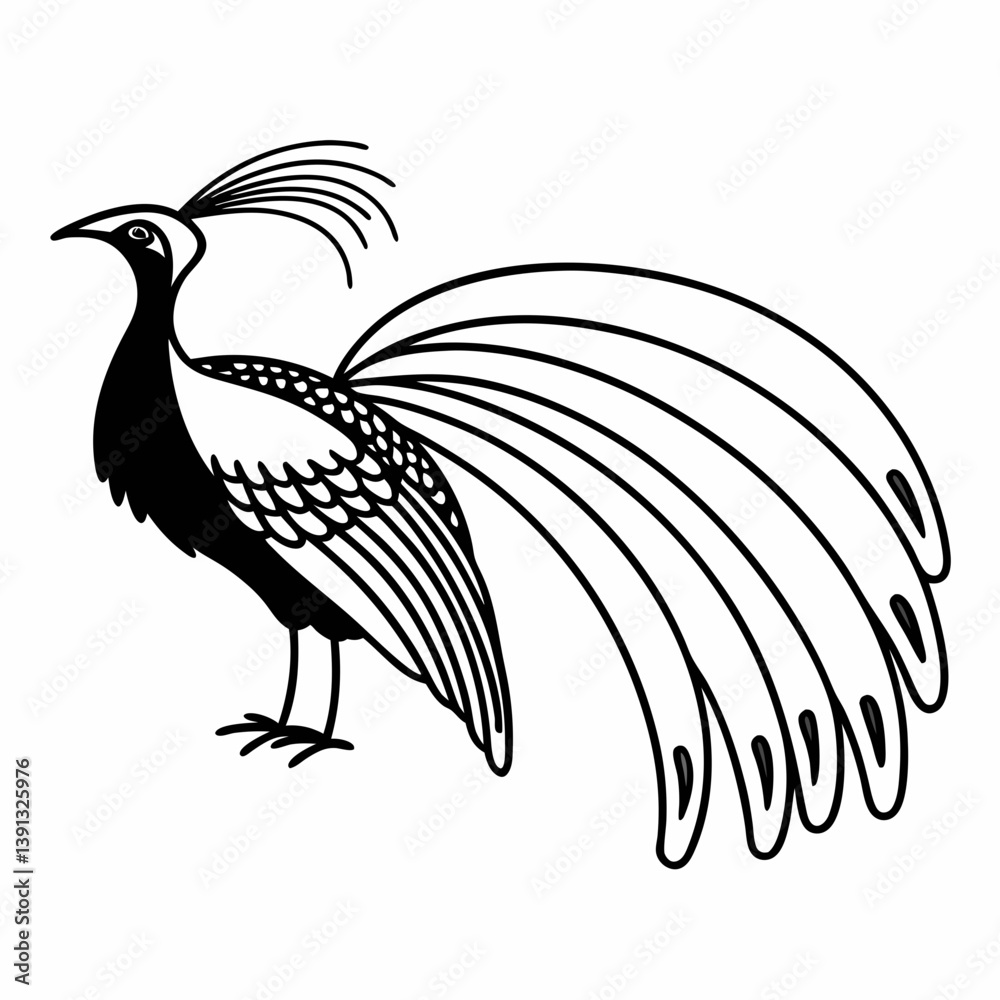 Fototapeta premium bird of paradise