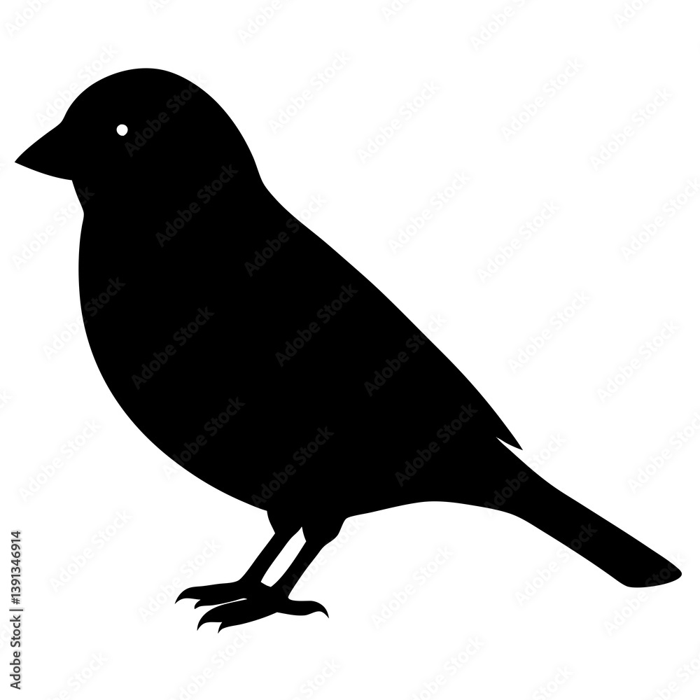 Fototapeta premium Canary silhouette vector isolated on white background