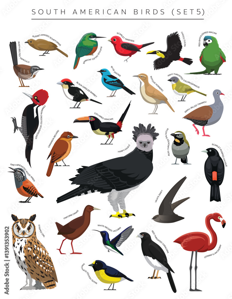 Fototapeta premium South American Birds Set Cartoon Vector Character 5