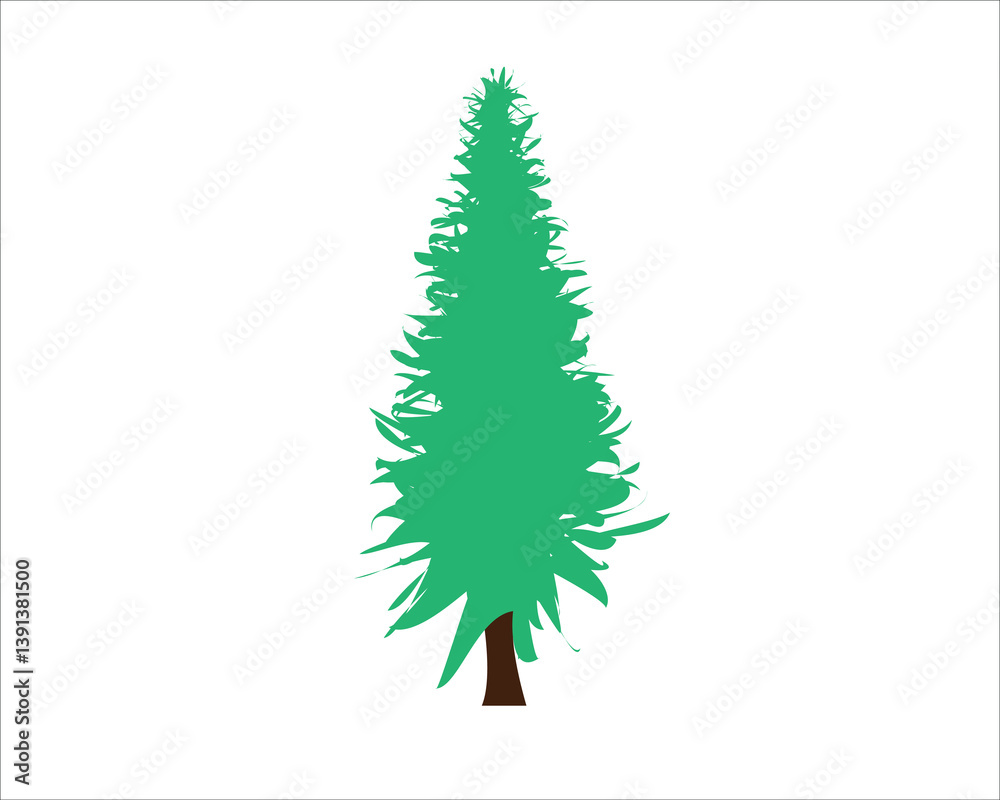 Obraz premium green tree isolated on white