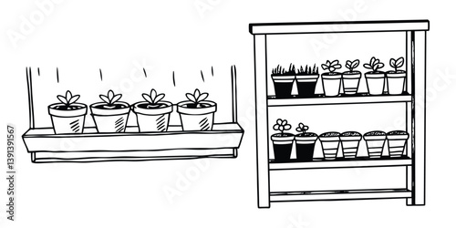A cactus and flowers in a pot bring Terracotta Planters set nature indoors as a charming home decoration near a window
