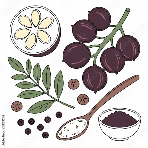 Jabuticaba, Frutas, verduras, alimentos, temperos, comida. Isolados em fundo branco.  
