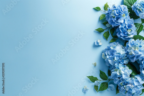 あじさいの花の背景 Blue flower photo
